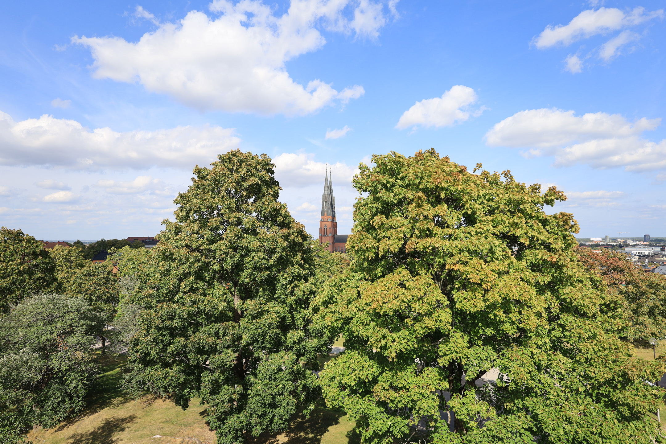 2024 08 28   12 56 43   Schweden (Web)